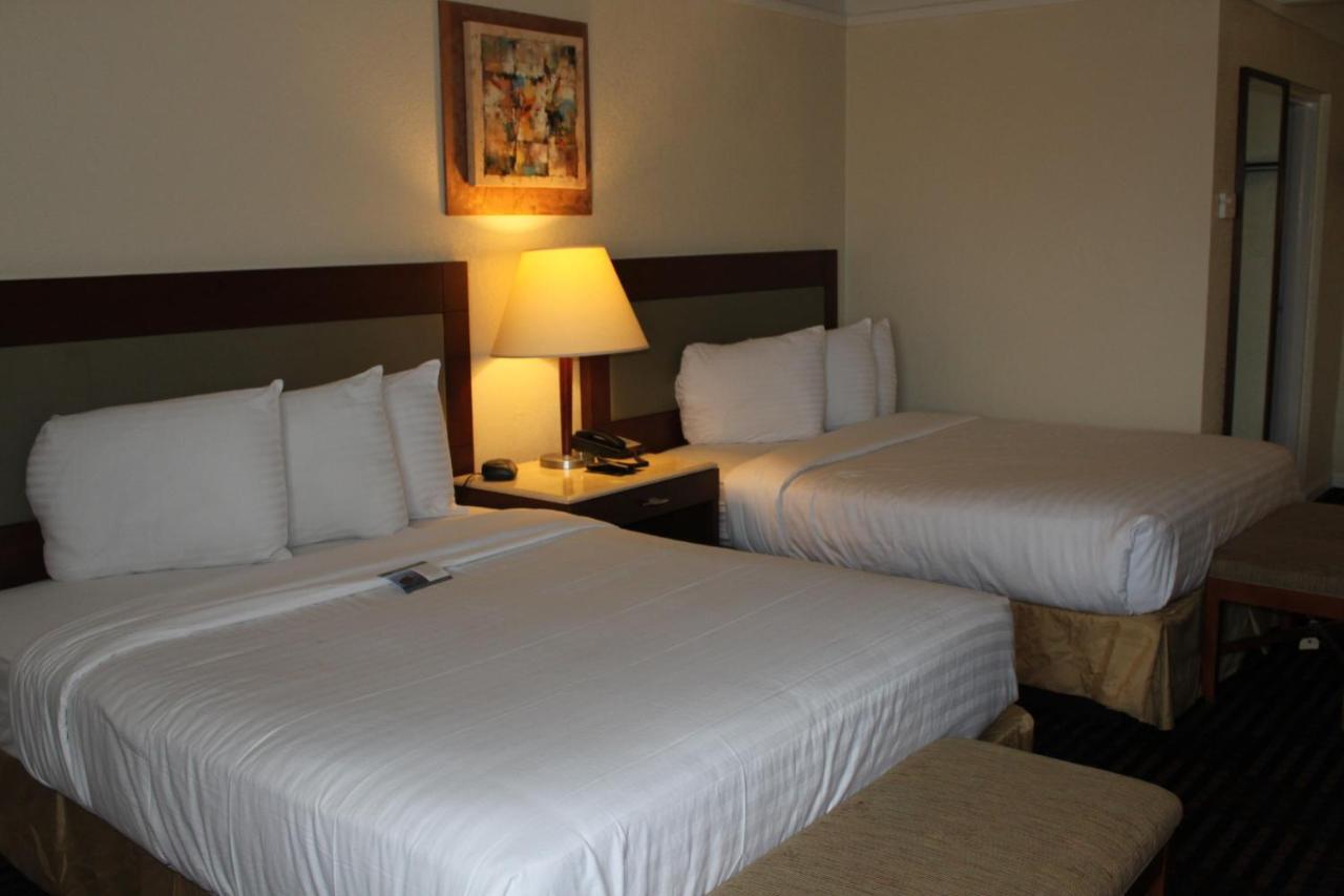 Lexington Inn & Suites-Elgin Chambre photo